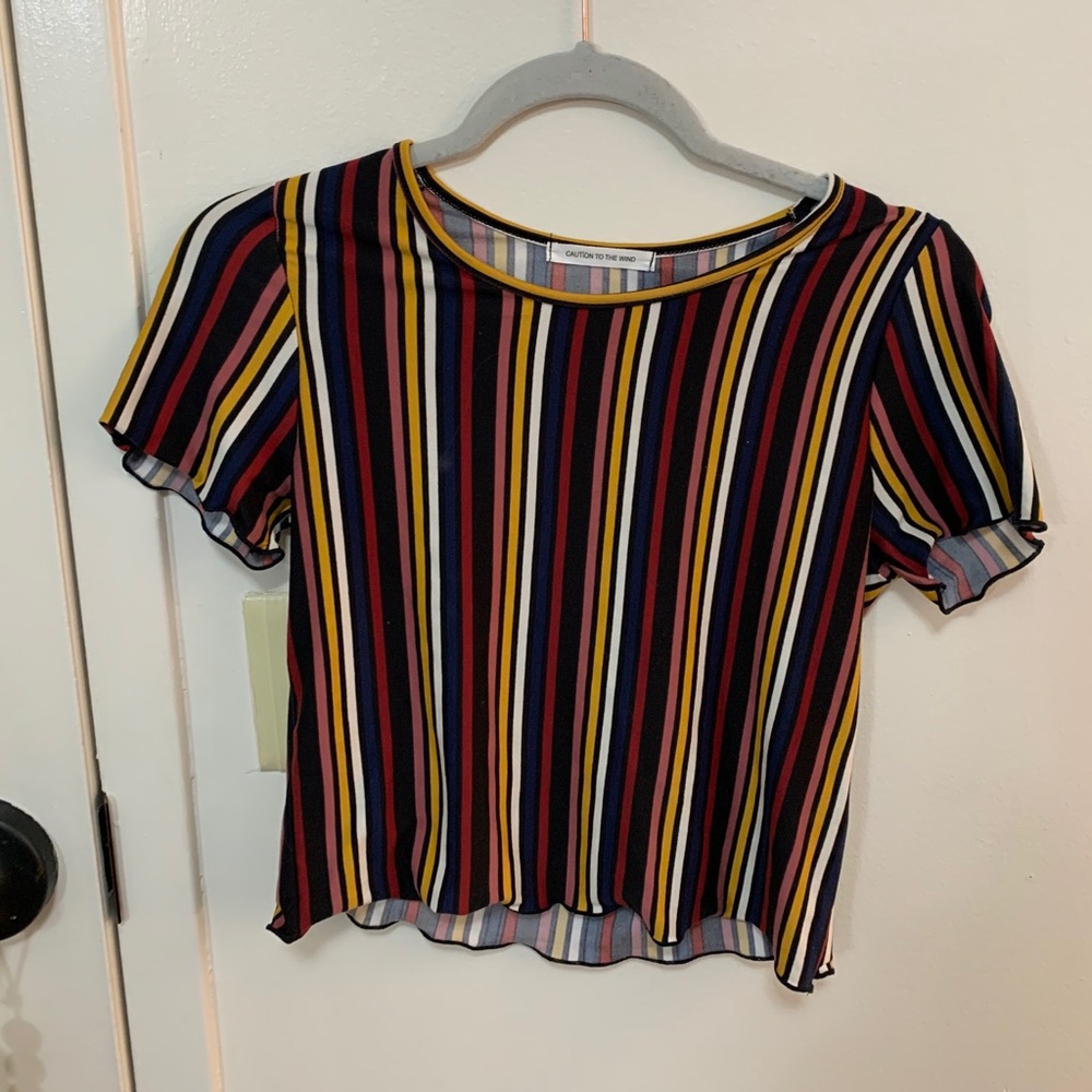 Caution to the Wind Striped Crop Top